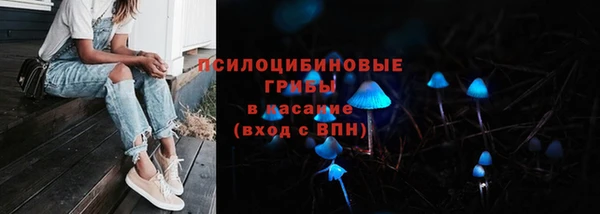 МДПВ Арсеньев