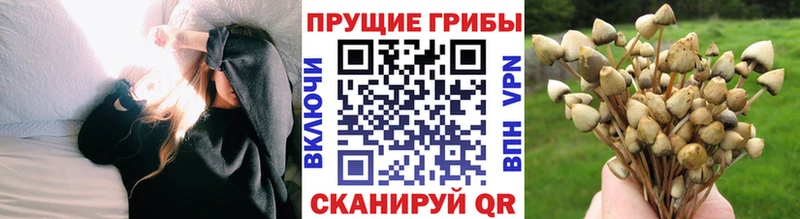 Псилоцибиновые грибы GOLDEN TEACHER  Оханск 